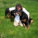 Compassion and care for our four legged friends!