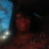 Capable Cat Sitting Professional in Jacksonville