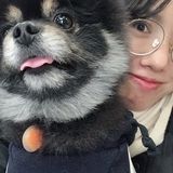 Most Honest Petsitter in Montreal