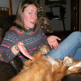 Experienced Sitter Who Loves Dogs!