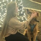 Searching for Qualified Pet Sitting Professional