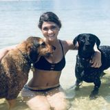 Available For a Pet sitting/walking Opportunity in Lynchburg