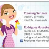 Dependable House Cleaner Flexible Hours Immediate Availability