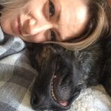 Available: Dog walking, pet feeding, checking in, giving love and attention to your pet while you are out!