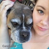 Looking For Nanny/Babysitting Position