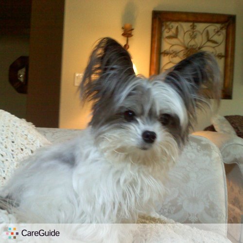 Pet Care Provider Karla Cano's Profile Picture