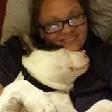 pursuing what I love! Careing for All animals and all breeds are ok with me!
