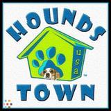 Fully interactive doggie daycare & boarding facility!