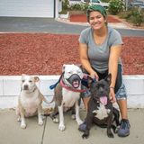 Honest and Reliable Dog Walking/Pet-Sitting Available Now!