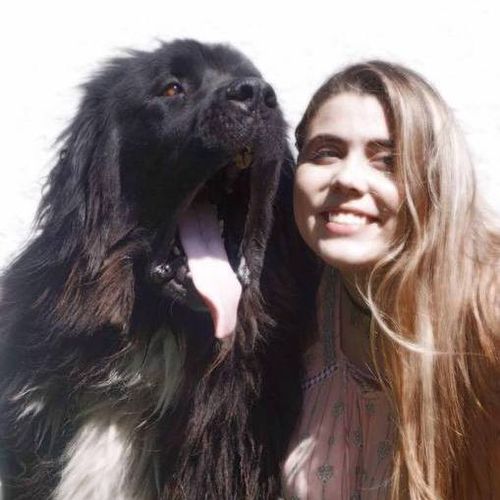 Pet Care Provider Sabrina A's Profile Picture
