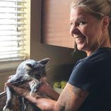 Most Careful House Sitter in Morton