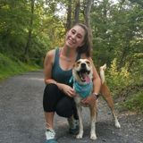 Available For a Dog Sitter Job in Bloomsburg, Pennsylvania