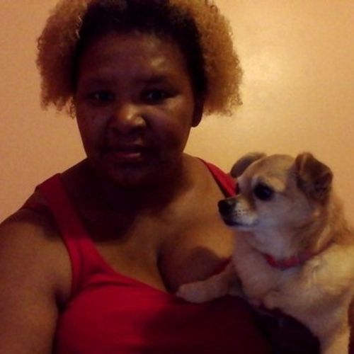 House Sitter Provider Desiree Lyles's Profile Picture