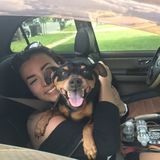 Petsitter for Hire