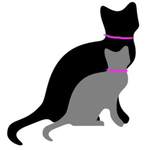 Pet Care Provider Laurie A's Profile Picture