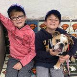 Skilled Animal Lover in Agoura Hills