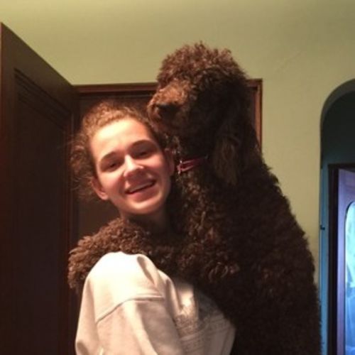 Pet Care Provider Rachel R's Profile Picture