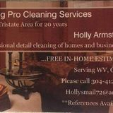 Professional Housekeeper