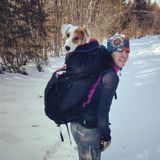 Available: Good House Sitting, pet sitting Provider in Ossipee
