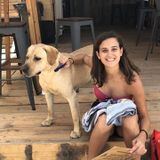 Calgary Pet Carer Interviewing For Job Opportunities