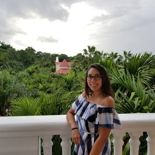 cat sitter north york