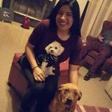 Wesley Chapel Pet Care Provider available to help you on anything I can
