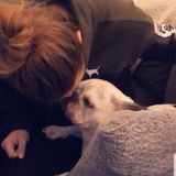 Dog Walker and Pet Care Provider in Glace Bay