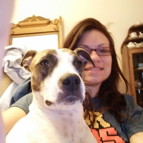 Pet Care Provider Nicole U's Profile Picture