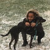 Woodbridge, Virginia , in need of a dog sitter for vacation. Original sitter fell through