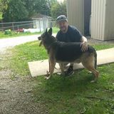 Major dog lover here! 20+ years exp. With dog's of all sizes. All furry friends welcome