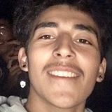 A pet friendly young man who is interested in pet sitting and walking