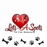 Hammond/Ponchatoula pet care/sitting service provider . Many years of experience with dogs, cats, birds & fish.