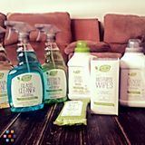 Professional House Cleaning and Organization