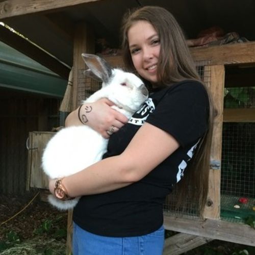 Pet Care Provider Emmalee B's Profile Picture