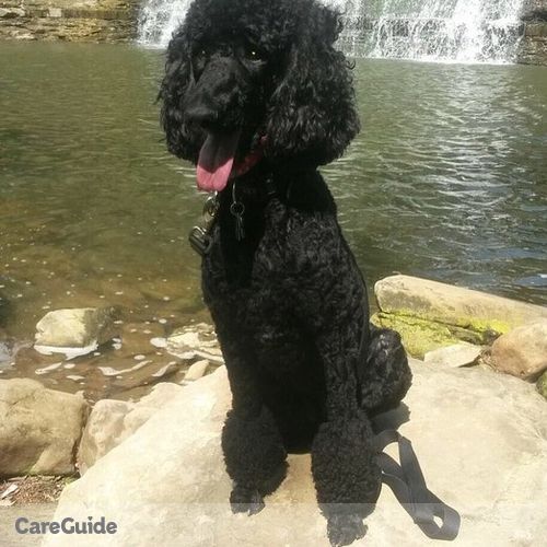 Pet Care Provider Kim H's Profile Picture
