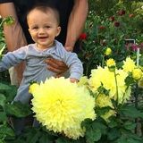 Professional plant care with attention to detail.
