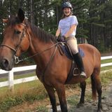 Looking for after school and weekend, part time. comfortable with large animals