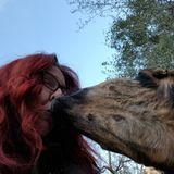 Loving Pet Care Offered in the San Bernardino Area