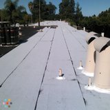 Professional Roofing Services