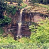 Gardining, landscaping, snow plower