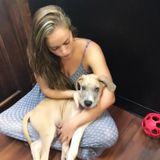 Apopka Dog Sitter Available For Job Opportunities in Florida