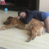 Chino Hills Pet Lover Interested In Spending More Time/Working With Animals