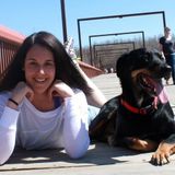 Talented Dog Trainer in Leduc