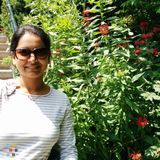 Looking for a tutor in Psychology