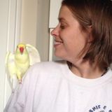 Need a responsible pet sitter?