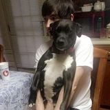 Ludowici/Hinesville Pet Sitting