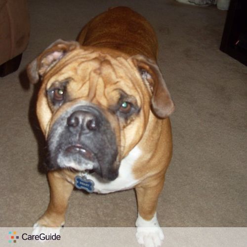 Pet Care Provider Laura Keating's Profile Picture