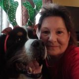 Looking For a Dog Trainer Job in Maplewood