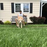 Bridgeport Pet Supervisor Looking For Job Opportunities