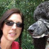 Pet Sitting Offered in Charleston